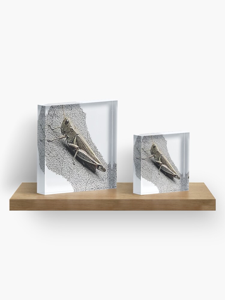 Alternate view of Mechanic Grasshopper Acrylic Block
