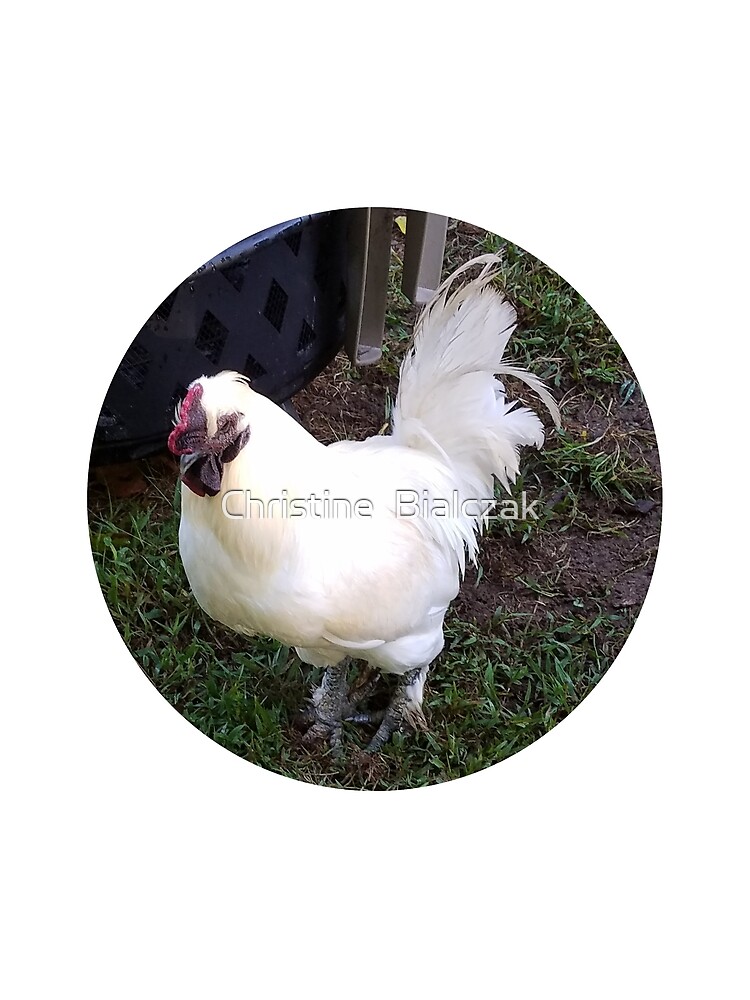 Poppo the Rooster by stinewriting