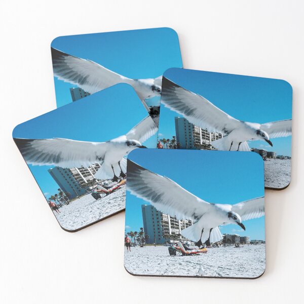 Item preview, Florida Seagull designed and sold by Christine  Bialczak.