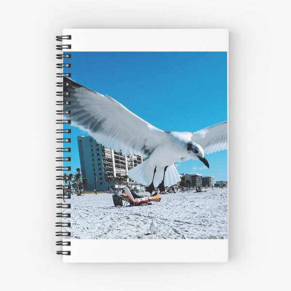 Item preview, Florida Seagull designed and sold by Christine  Bialczak.