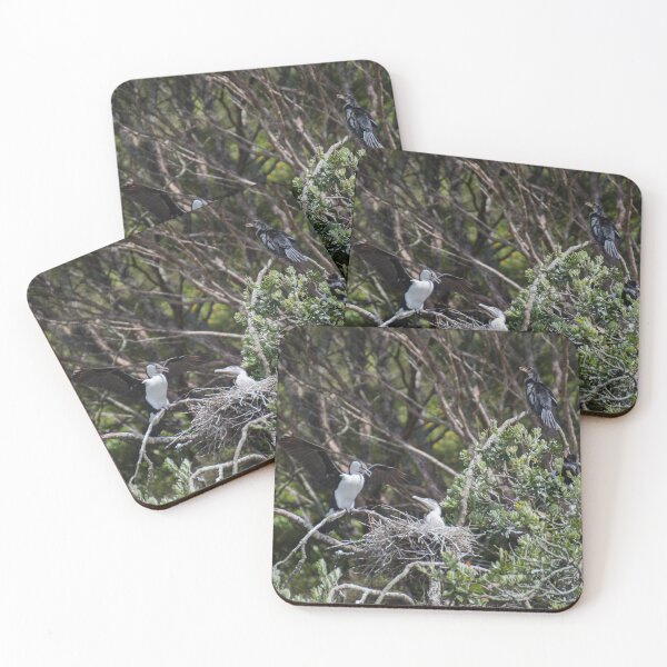 Item preview, Water Birds of New Zealand designed and sold by LizardSpirit.