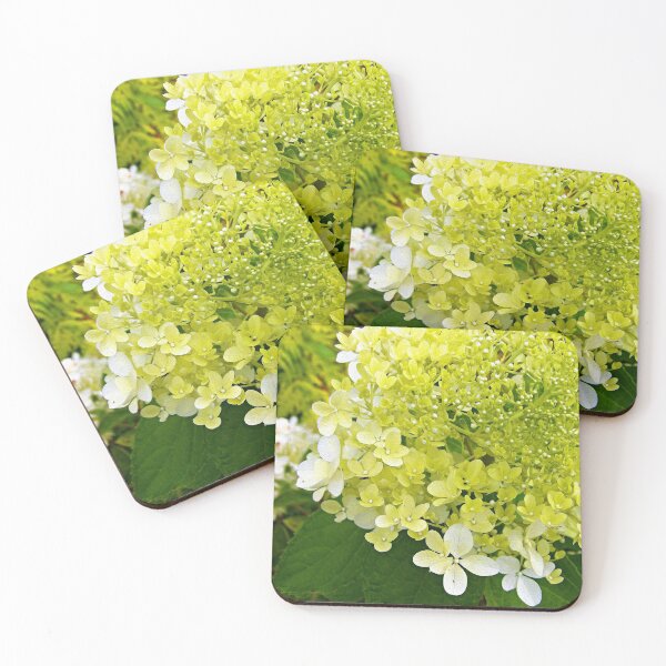 Item preview, Elegant Chartreuse Green Limelight Hydrangea Macro designed and sold by myrubiogarden.