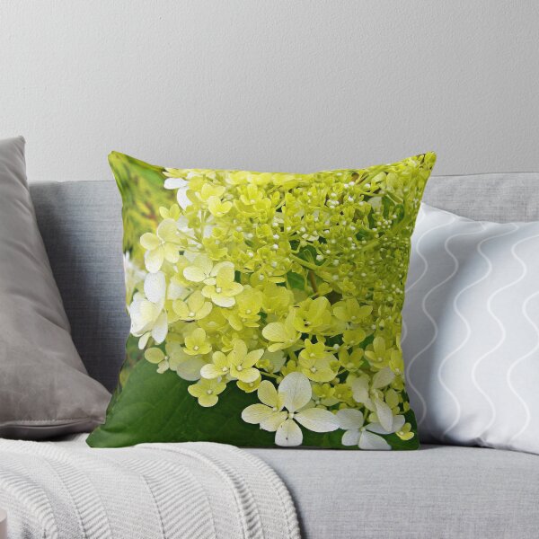 Artikel-Vorschau von Elegantes Chartreuse-Grün Limelight Hortensie Makro, designt und verkauft von myrubiogarden.