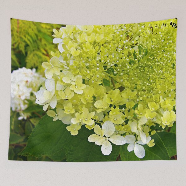 Item preview, Elegant Chartreuse Green Limelight Hydrangea Macro designed and sold by myrubiogarden.