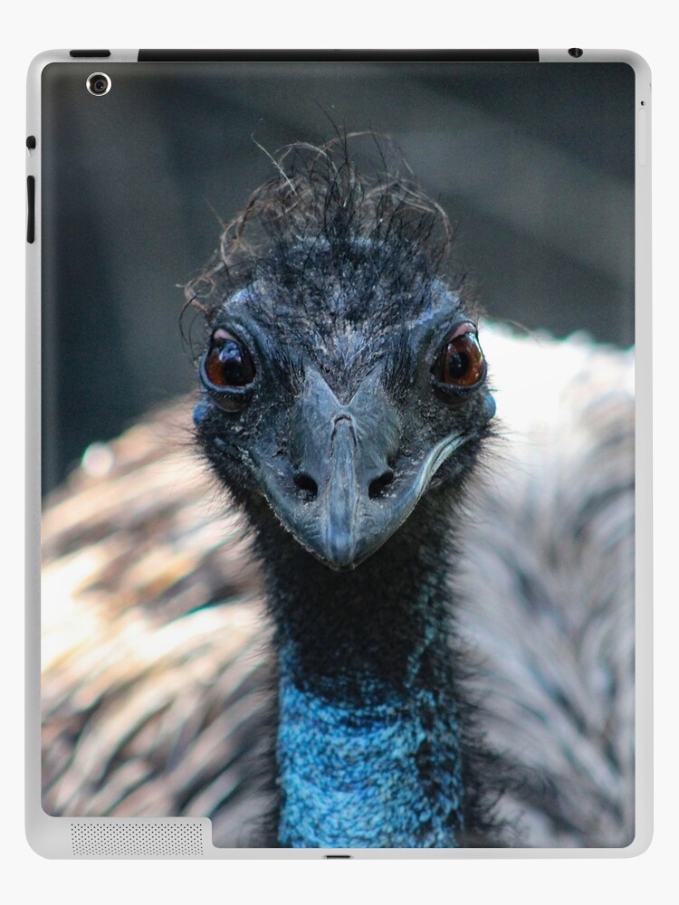 Blue Emu iPad Case & Skin for Sale by Bob Hardy