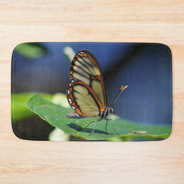 Item preview, Salapia Glasswing (Ithomia salapia) Butterfly Peru designed and sold by Schoensl.