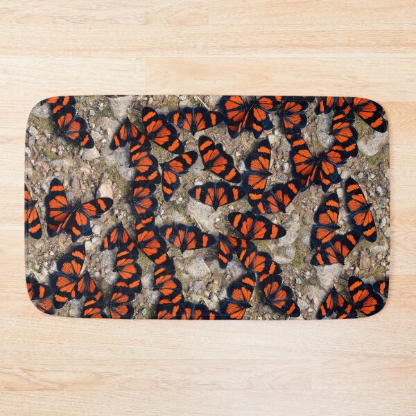 Item preview, Red-banded Altinote Peru designed and sold by Schoensl.