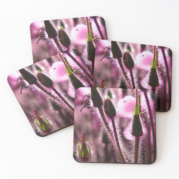 Item preview, Proof of Magic designed and sold by NatureRaven.
