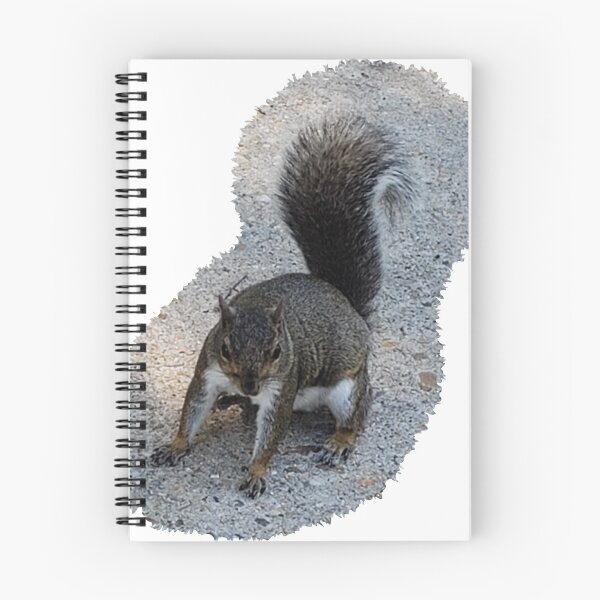 Aperçu de l'œuvre Georgia Squirrel créée et vendue par Christine  Bialczak.