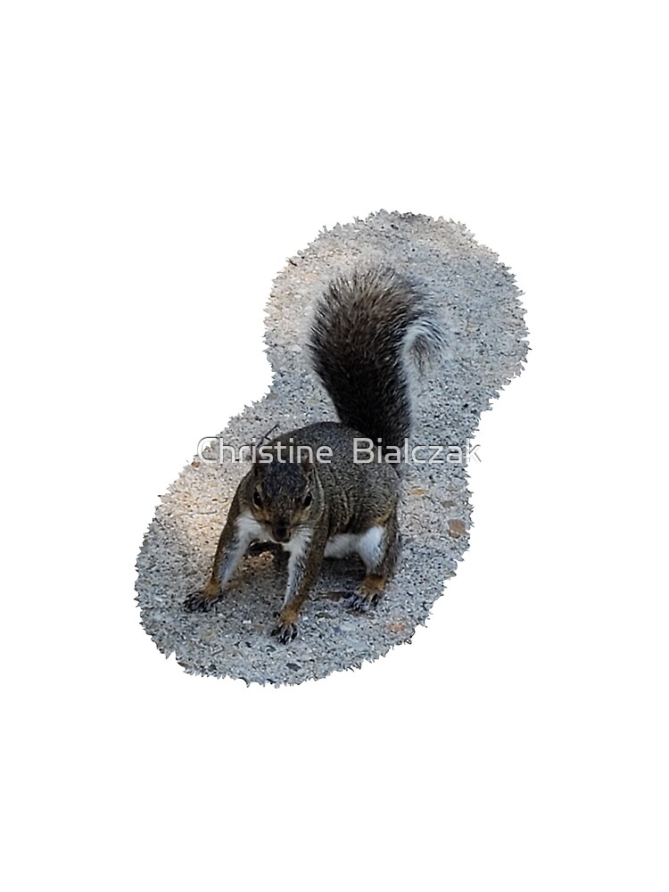 Georgia Squirrel by stinewriting