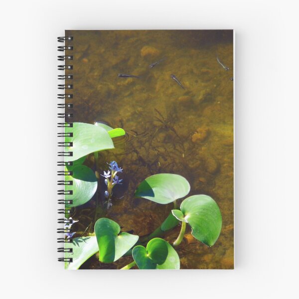 Item preview, Pickerel And Minnows designed and sold by WildestArt.