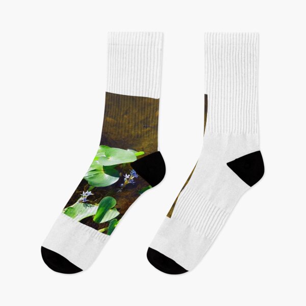 Item preview, Pickerel And Minnows designed and sold by WildestArt.
