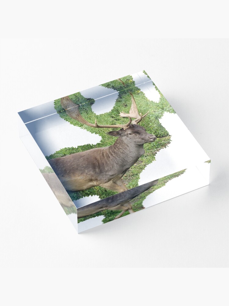 Alternate view of Buck Acrylic Block