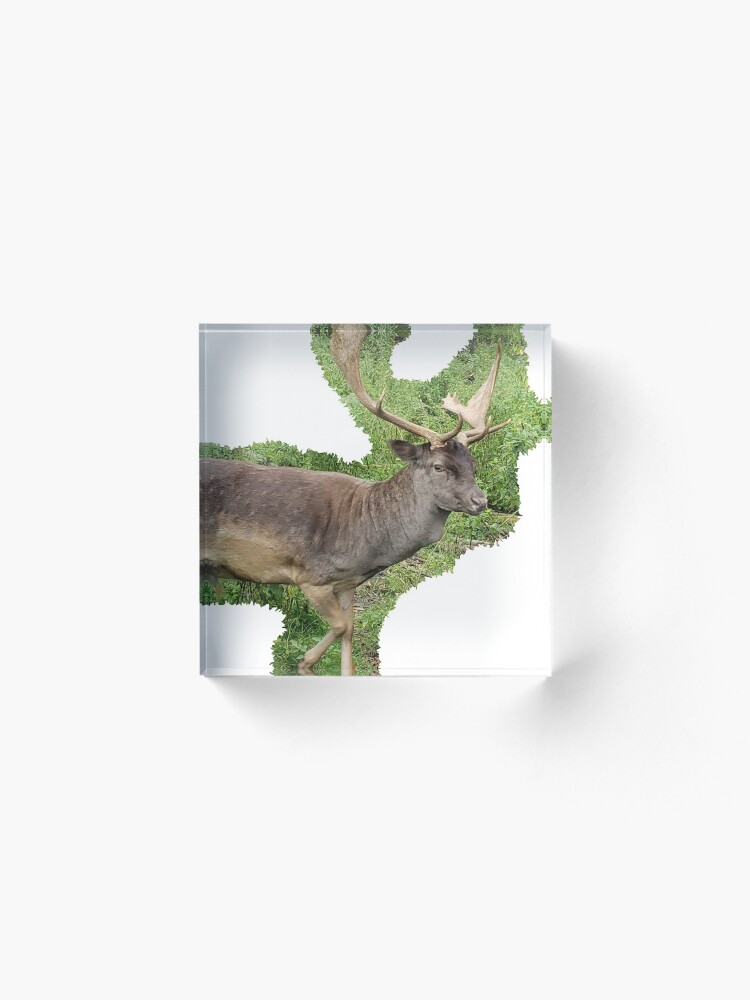Alternate view of Buck Acrylic Block