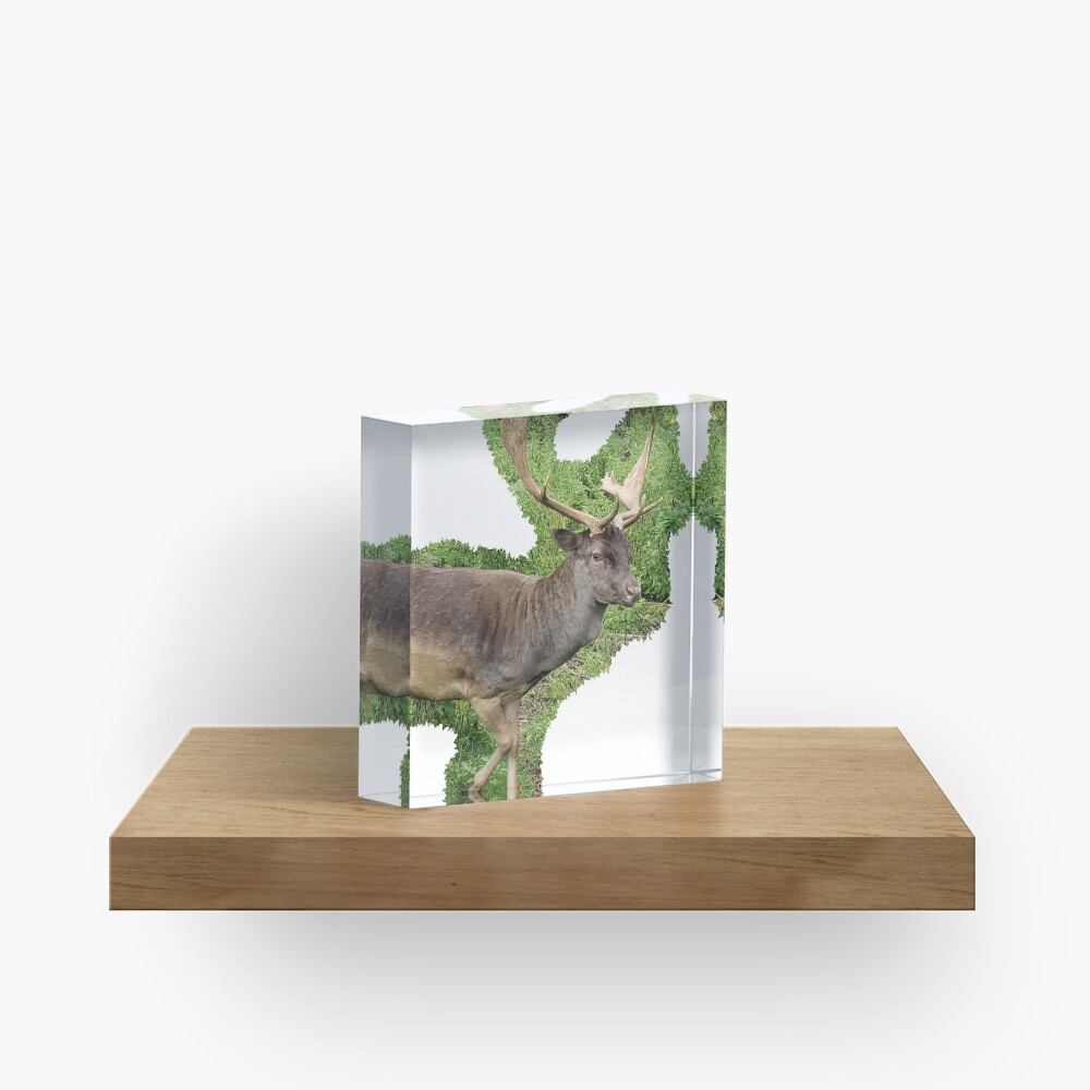 Buck Acrylic Block