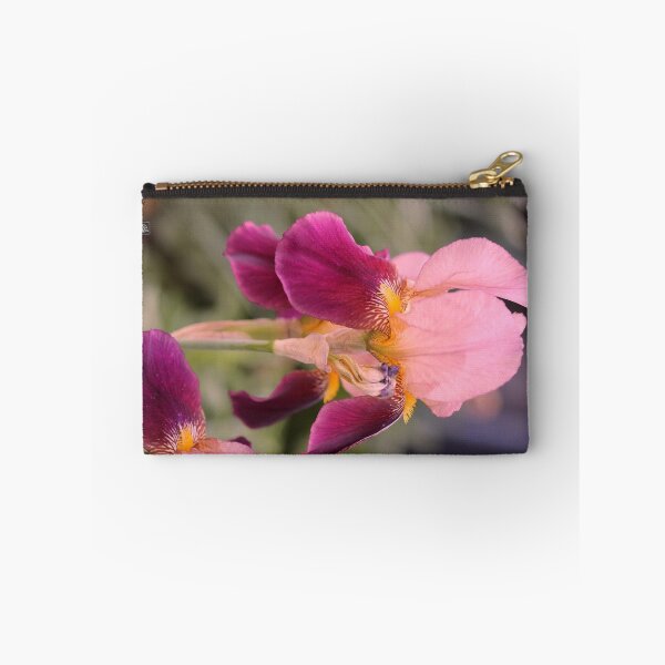 Item preview, Tall Bearded Iris named Indian Chief designed and sold by JMcCombie.