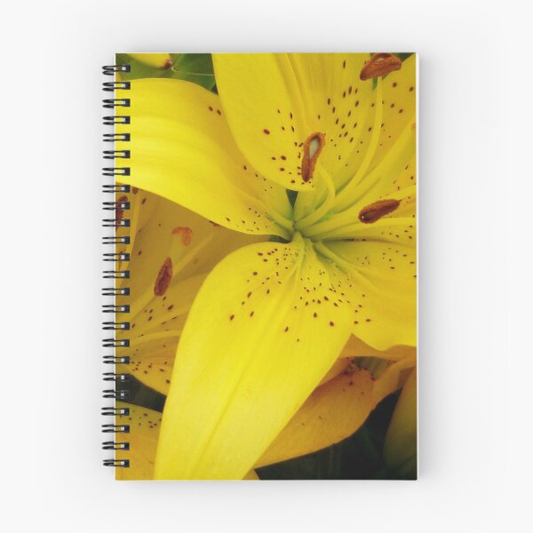 Item preview, Yellow Asiatic Lilies designed and sold by WildestArt.