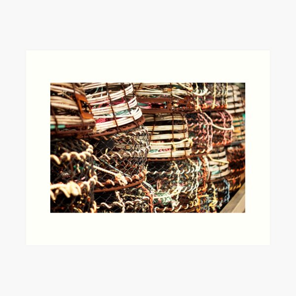 Free Range Cages Art Print