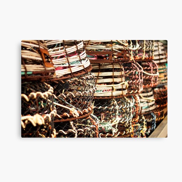 Free Range Cages Canvas Print