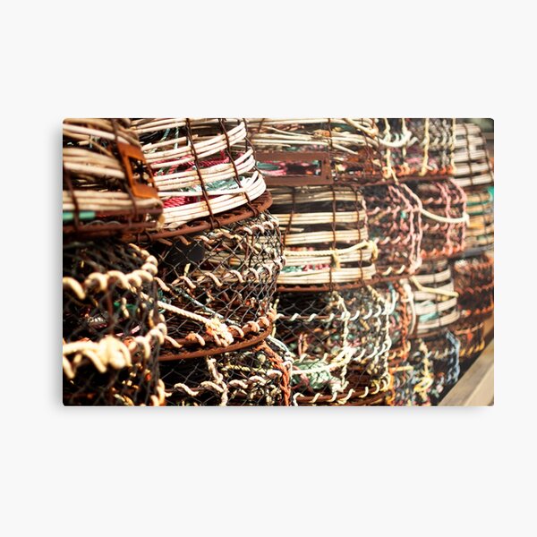 Free Range Cages Metal Print