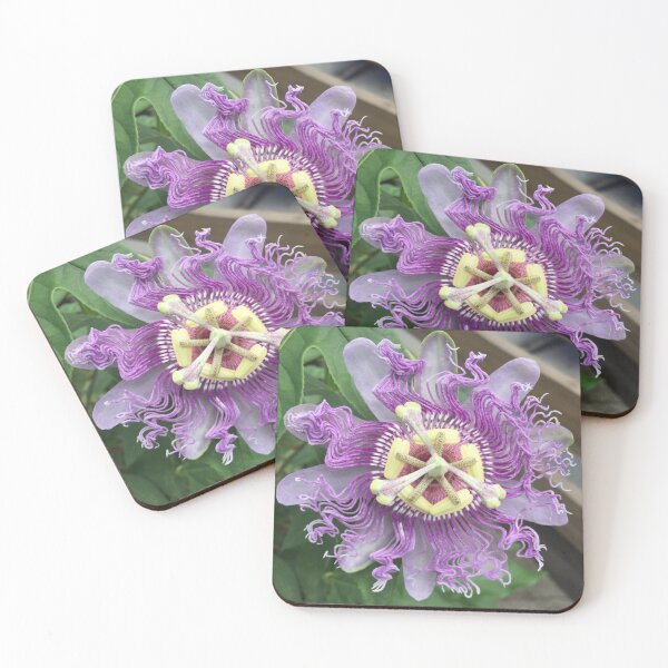 Item preview, Passion Fruit Flower in bloom designed and sold by Christine  Bialczak.
