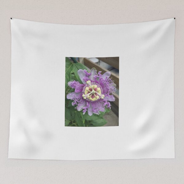 Item preview, Passion Fruit Flower in bloom designed and sold by Christine  Bialczak.
