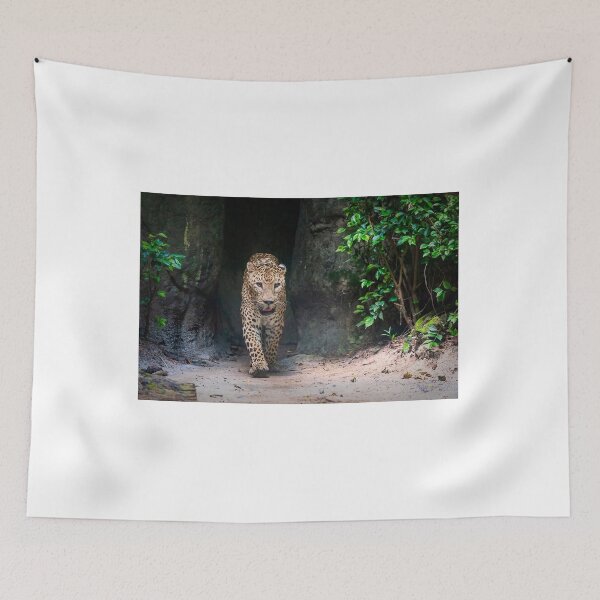 Item preview, Leopard Wandering designed and sold by photograham.