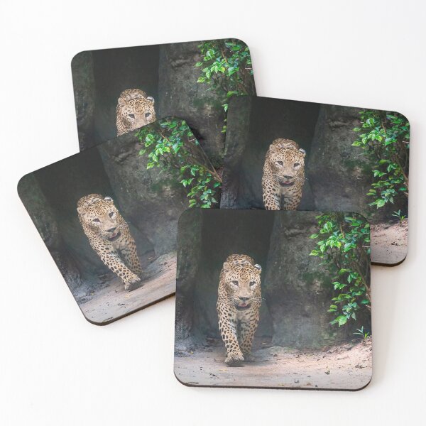 Item preview, Leopard Wandering designed and sold by photograham.