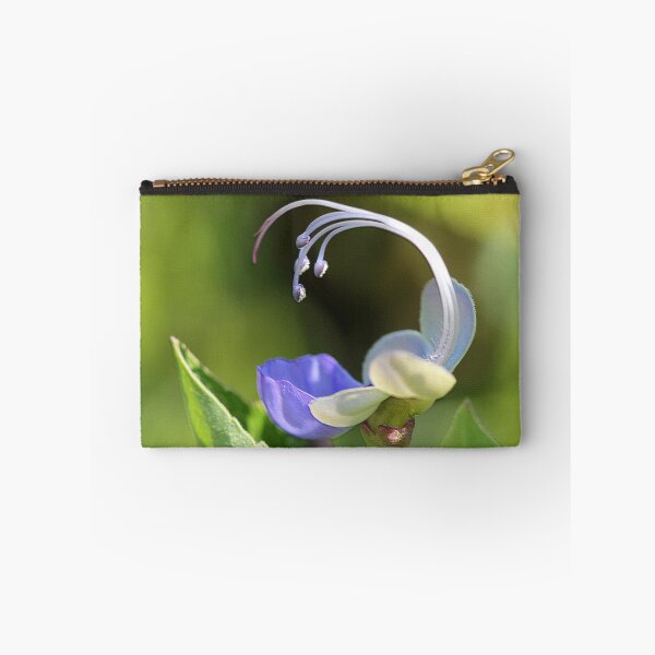 Item preview, Clerodendrum Ugandense or Blue Butterfly Bush designed and sold by JMcCombie.