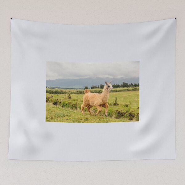 Item preview, Baby Llama designed and sold by raymona pooler.
