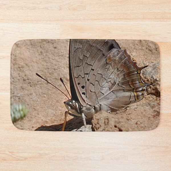 Item preview, NYMPHALIDAE / CHARAXINAE - Van Son’s Emperror – Caraxes vansoni designed and sold by Magriet Meintjes.