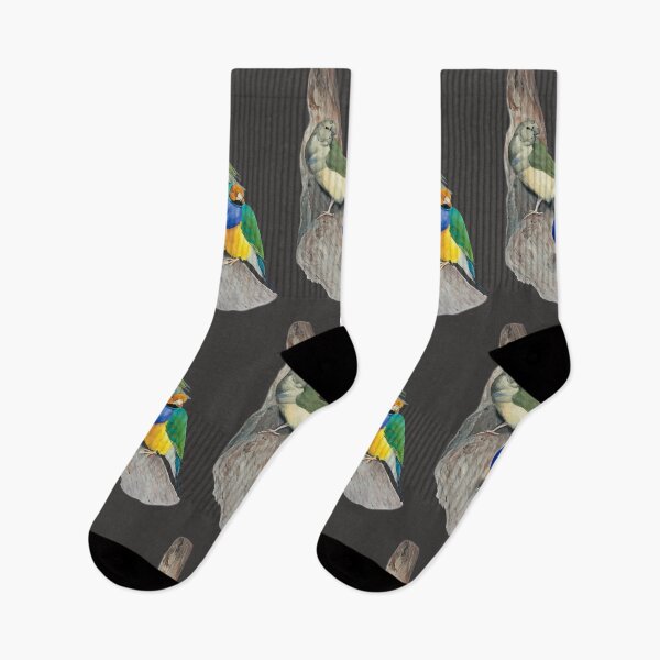 Item preview, Gouldian Finches designed and sold by FabulousBeasts.
