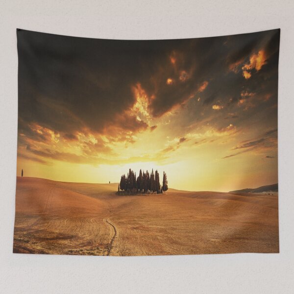 Item preview, valdorcia landscape in italy designed and sold by franckreporter.