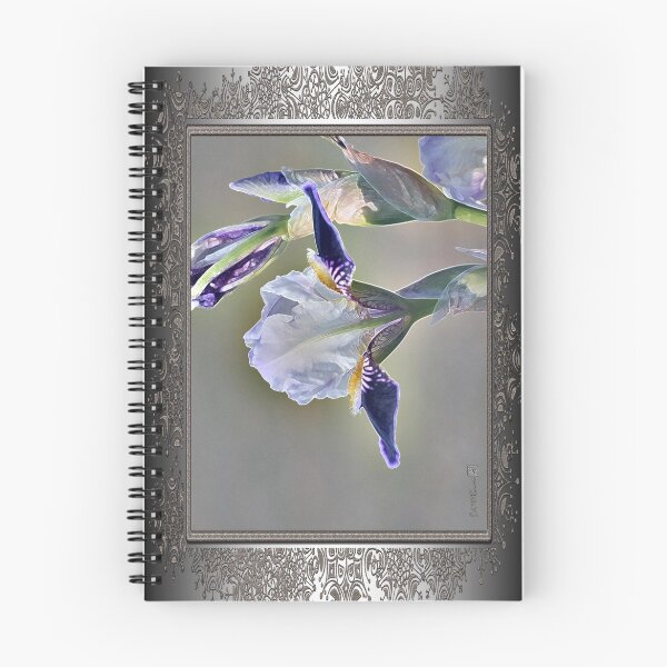 Artikelvorschau, Miniature Tall Bearded Iris named Consummation entworfen und verkauft von JMcCombie.