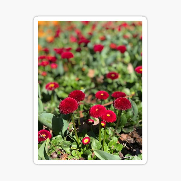 floriade 2019 October Sticker