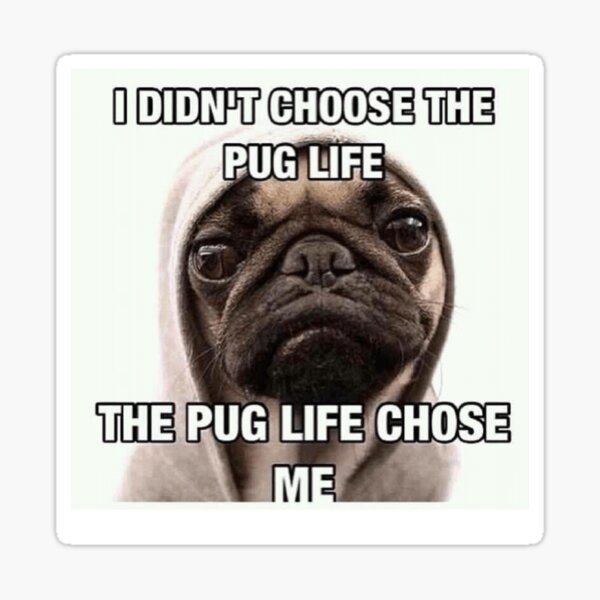 Item preview, PUG LIFE designed and sold by opark1.