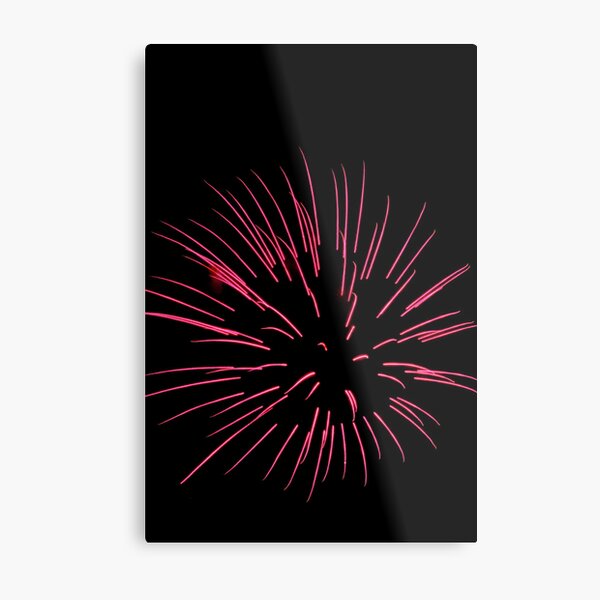 anemone Metal Print