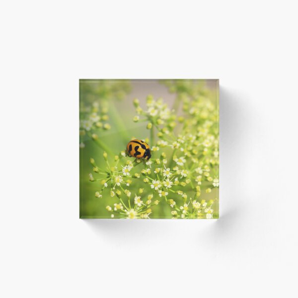 Item preview, Ladybird on Parsley designed and sold by NakedSunday.