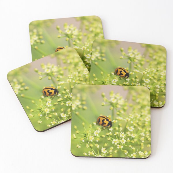 Item preview, Ladybird on Parsley designed and sold by NakedSunday.