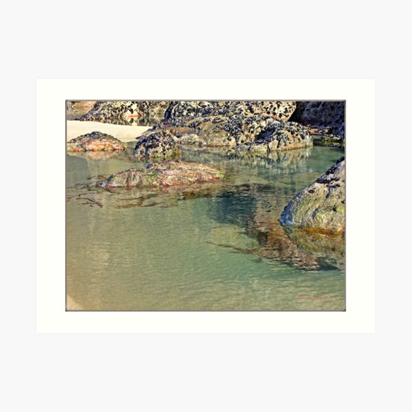 " Natures hidden wonders at Chapel Porth" Art Print