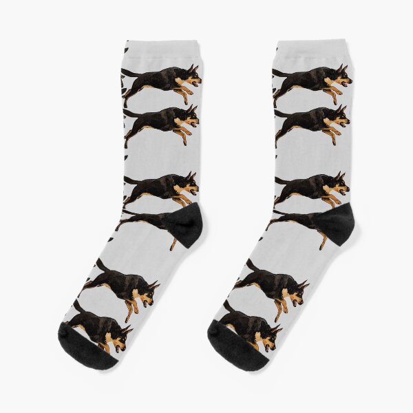 Pack of Kelpies Socks