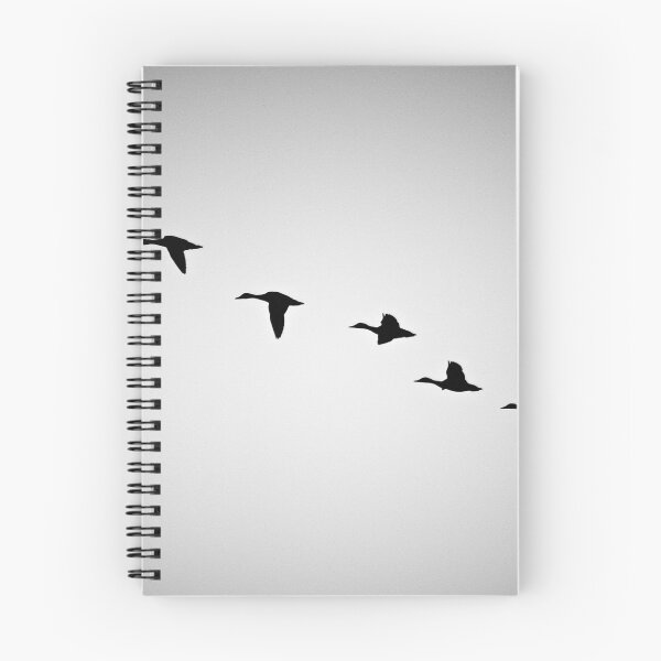 Item preview, FLYING BIRDS SILHOUETTE  designed and sold by CebotariN.