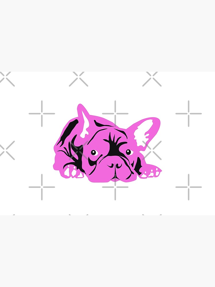 Französische Bulldogge Bully von Doggenhaus