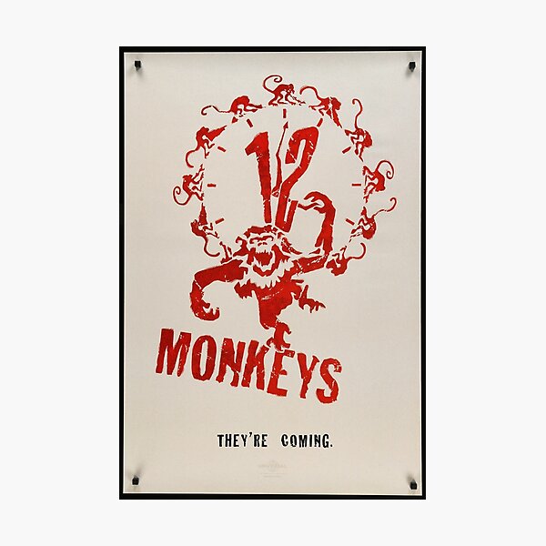 Twelve Monkeys Photographic Print