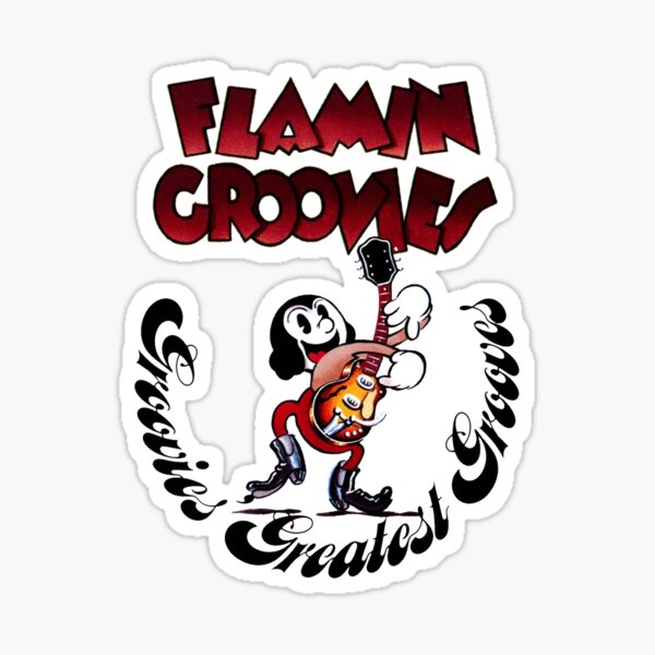 flamin groovies shirt