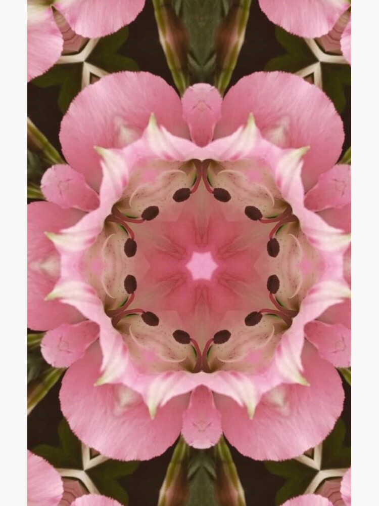 Pink Floral by pattistudio
