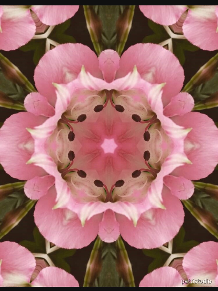 Pink Floral by pattistudio