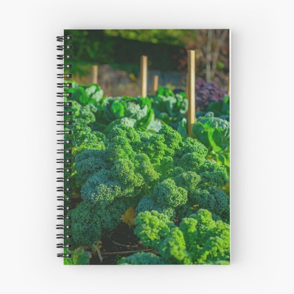 Item preview, Vibrant Fresh Green Curly Kale Grows in a Vegetable Garden designed and sold by marthadoom.