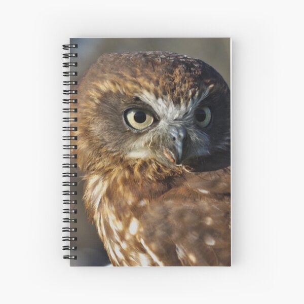Boobook owl Spiral Notebook