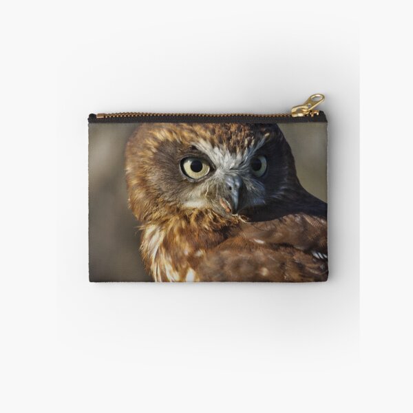 Item preview, Boobook owl designed and sold by derbyshireduck.